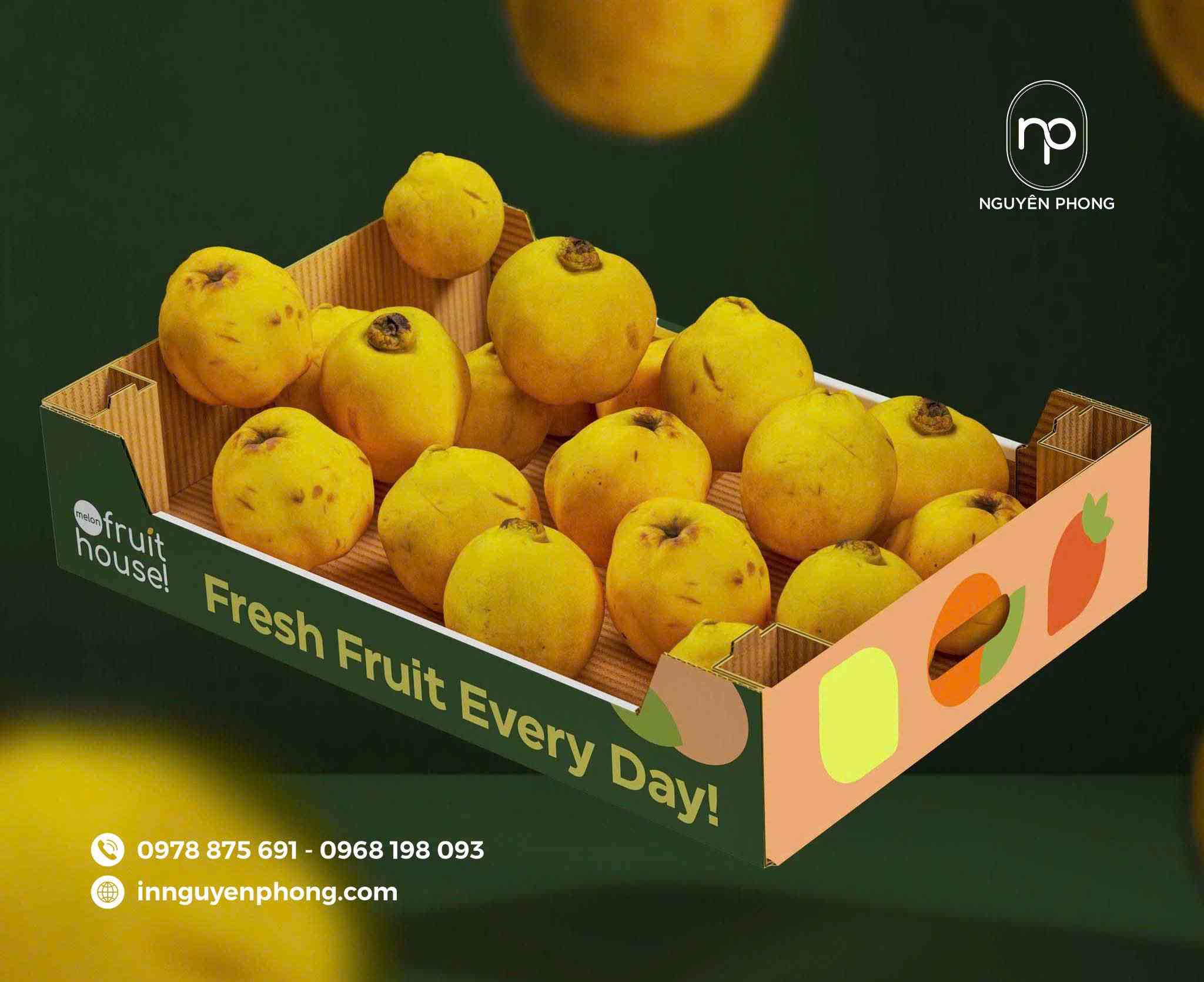 Mẫu thùng carton đẹp ấn tượng